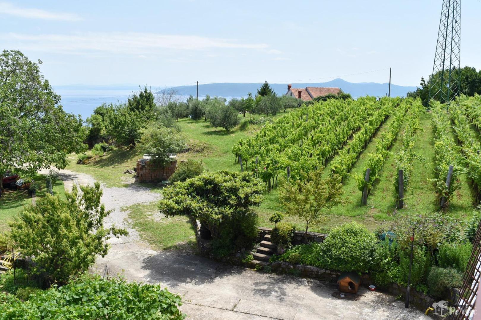 Apartman Persic Mošćenička Draga Εξωτερικό φωτογραφία